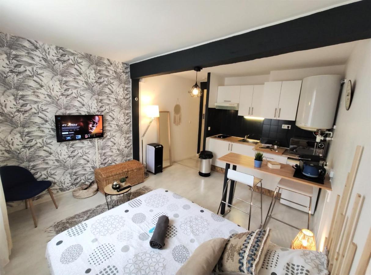 Ferienwohnung Le Jasmin Des Carmes - Hypercentre - Netflix Toulouse Exterior foto